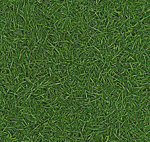 Линолеум IVC Bingo GRASS 25 фото 1 | FLOORDEALER